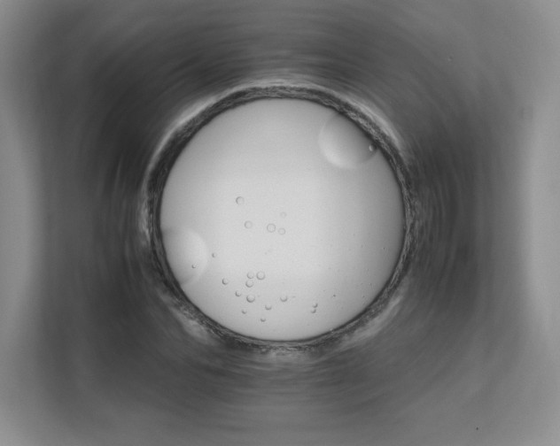 X0000111680974200907171630