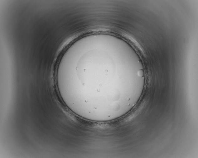 X0000111680978200907171630