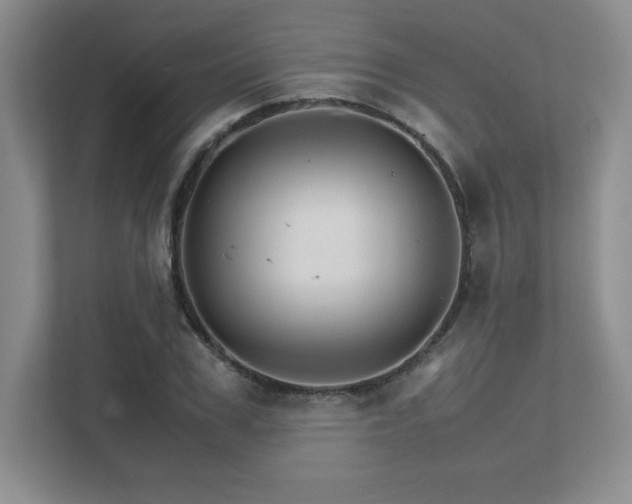 X0000111680979200907171630