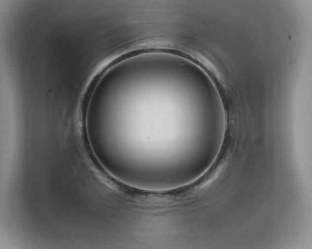 X0000111680981200907171630