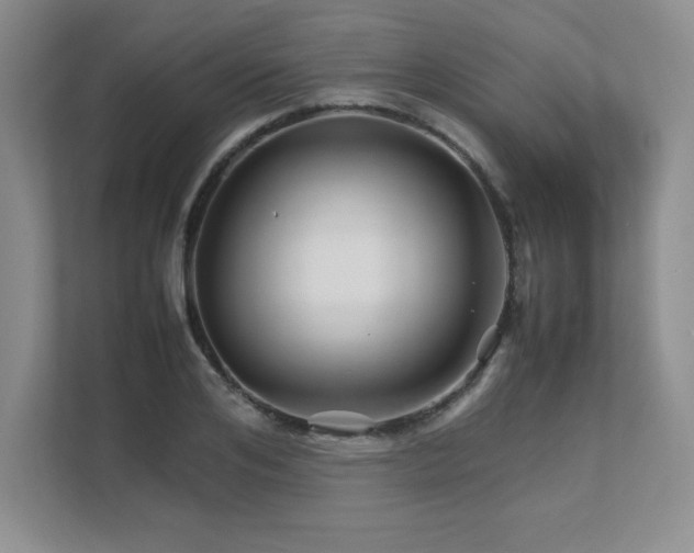 X0000111680984200907171630