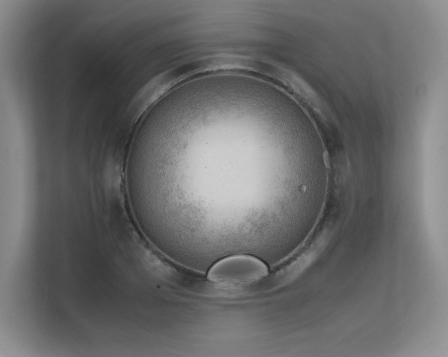 X0000111680985200907171630