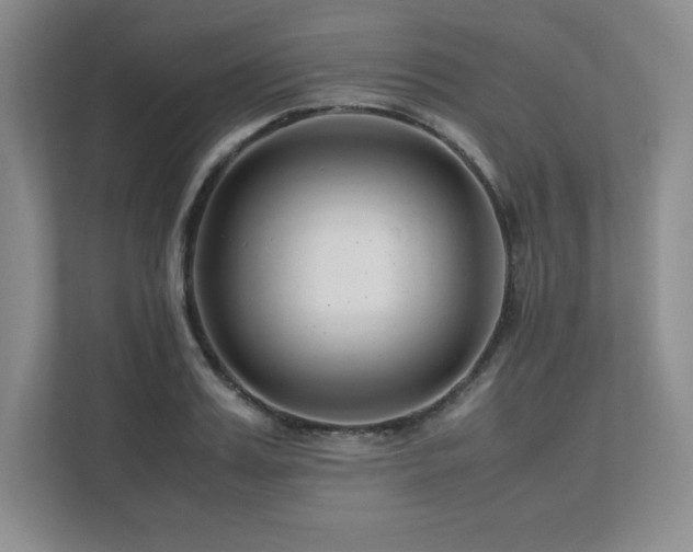 X0000111680987200907171630