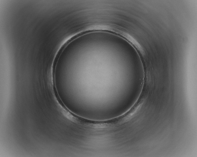 X0000111680988200907171630