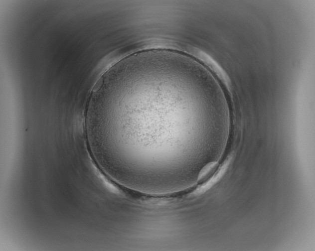 X0000111680993200907171630