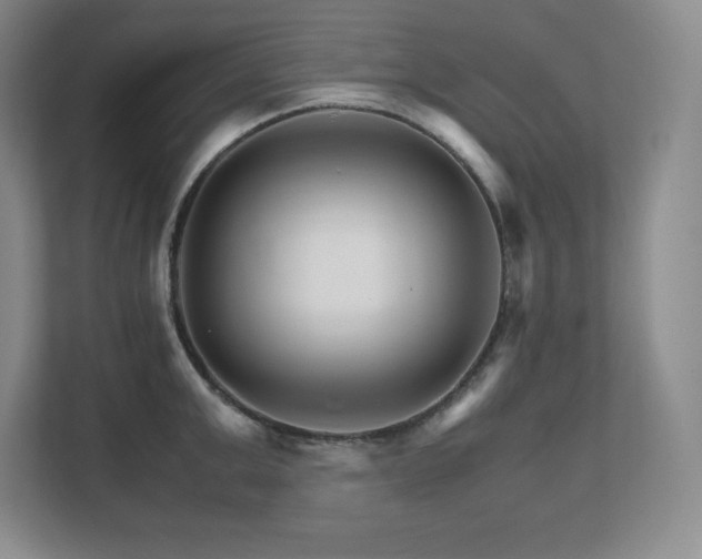 X0000111680999200907171630