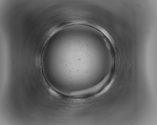 X0000111681001200907171630