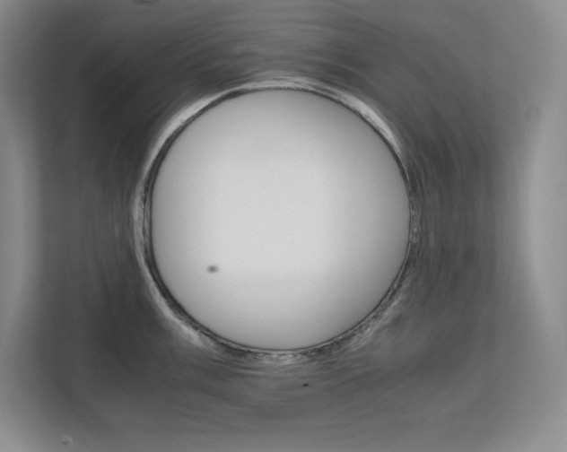 X0000111681003200907171630