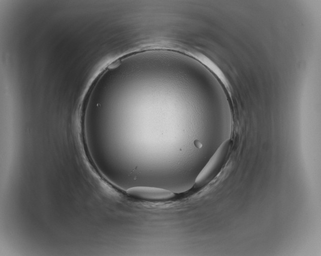 X0000111681005200907171630