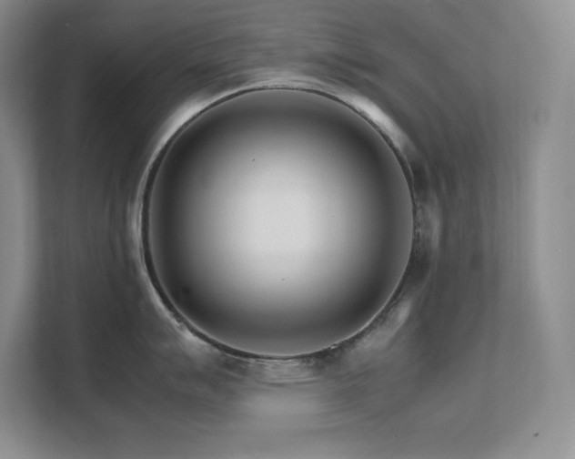 X0000111681007200907171630