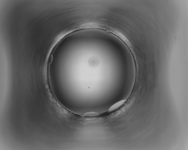 X0000111681008200907171630