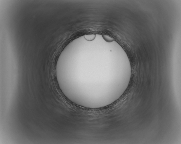 X0000111681009200907171629