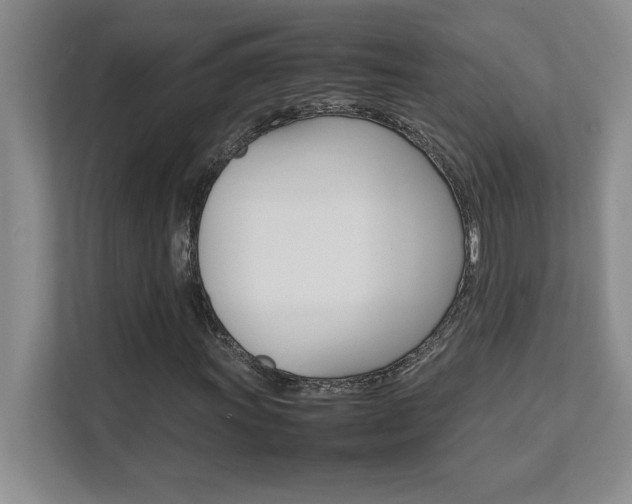 X0000111681011200907171629