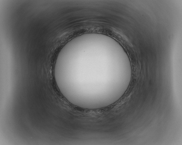 X0000111681013200907171629