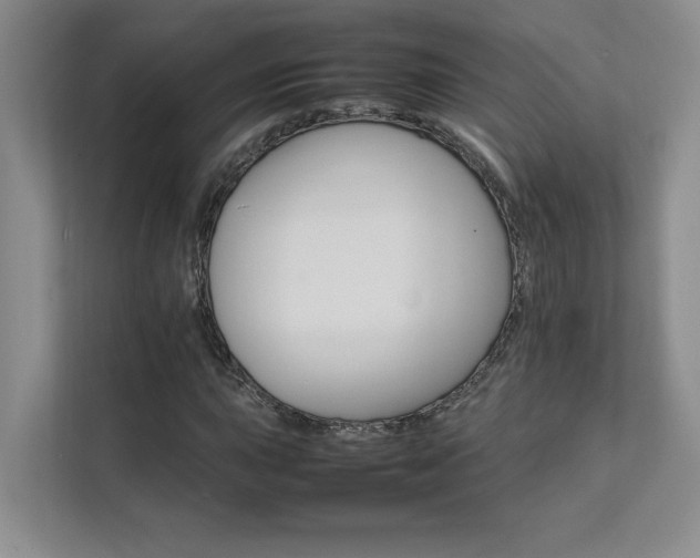 X0000111681015200907171629