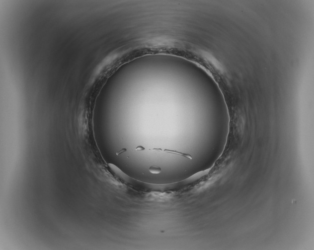 X0000111681016200907171629