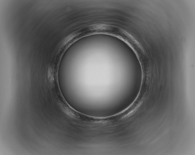 X0000111681017200907171629