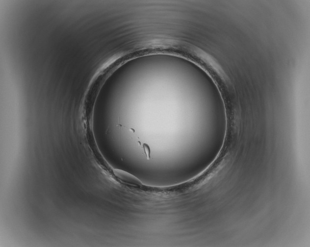 X0000111681018200907171629