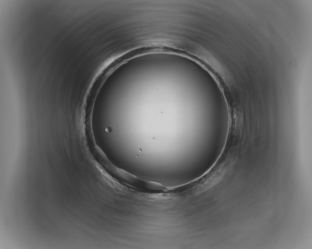 X0000111681020200907171629