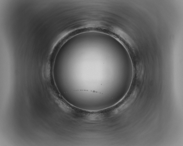 X0000111681021200907171629