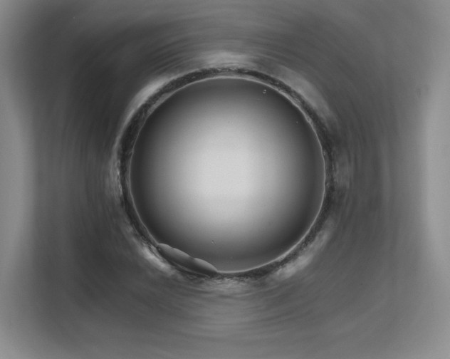 X0000111681022200907171629