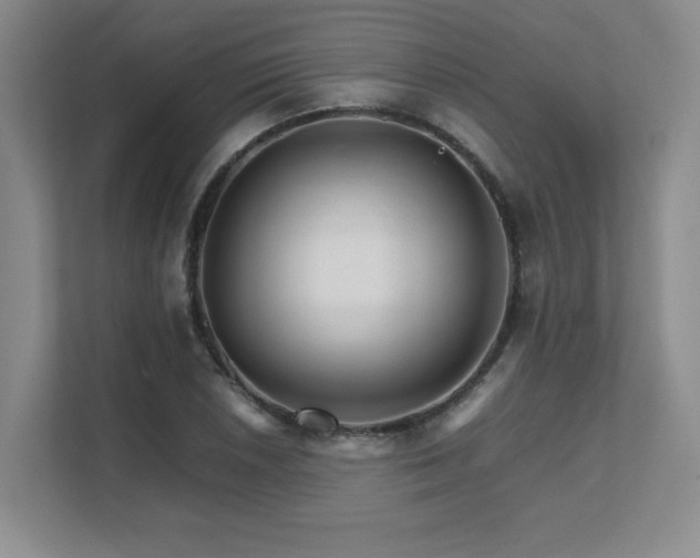 X0000111681026200907171629