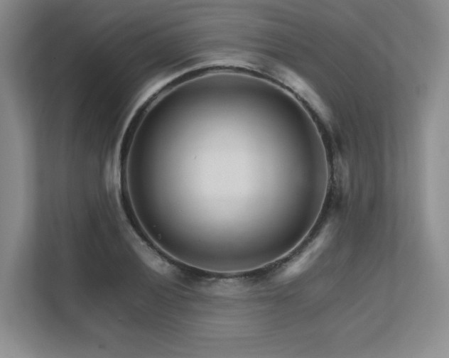 X0000111681028200907171629