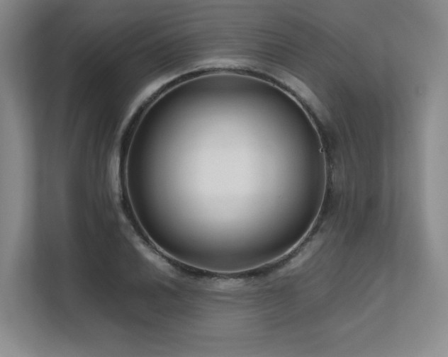 X0000111681030200907171629