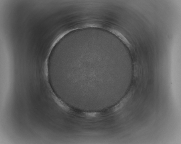 X0000111681031200907171629