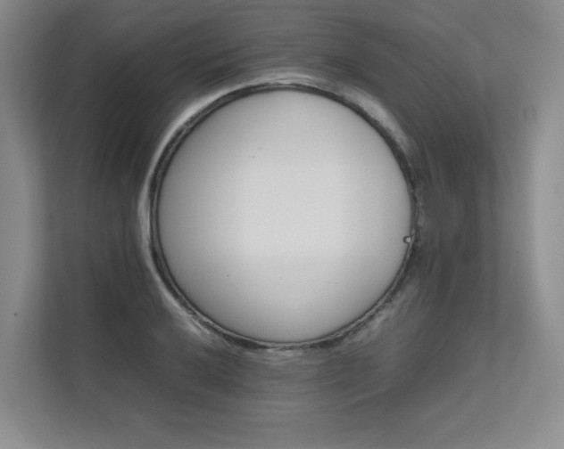 X0000111681032200907171629