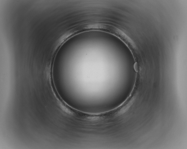 X0000111681033200907171629