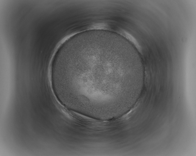 X0000111681035200907171629