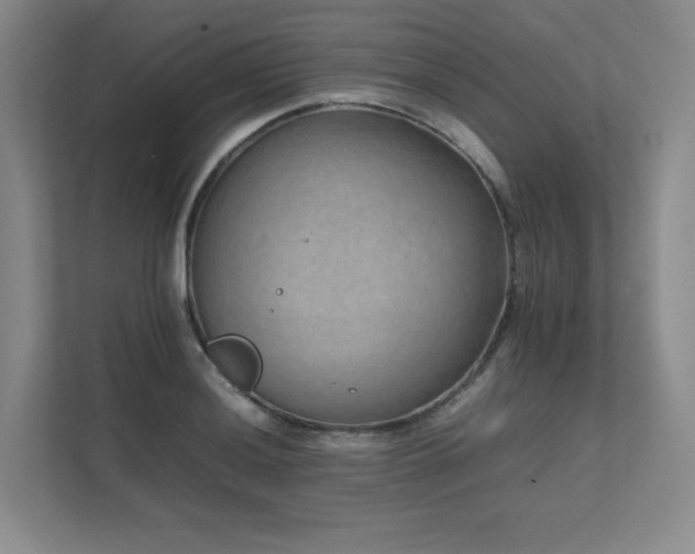 X0000111681036200907171629