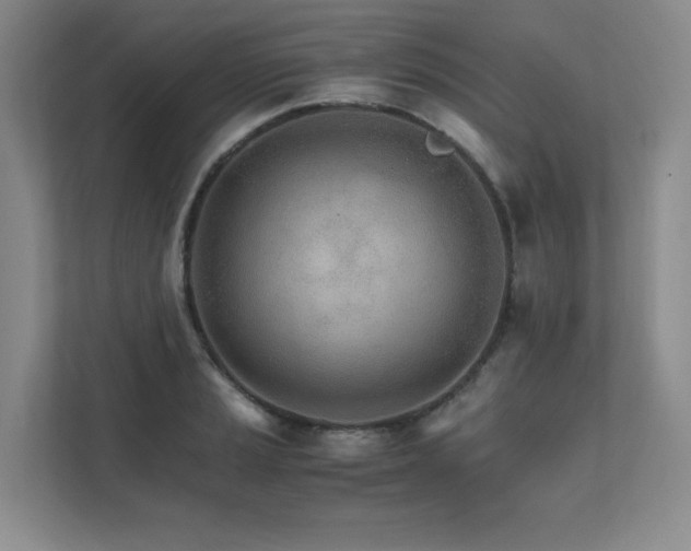 X0000111681037200907171629