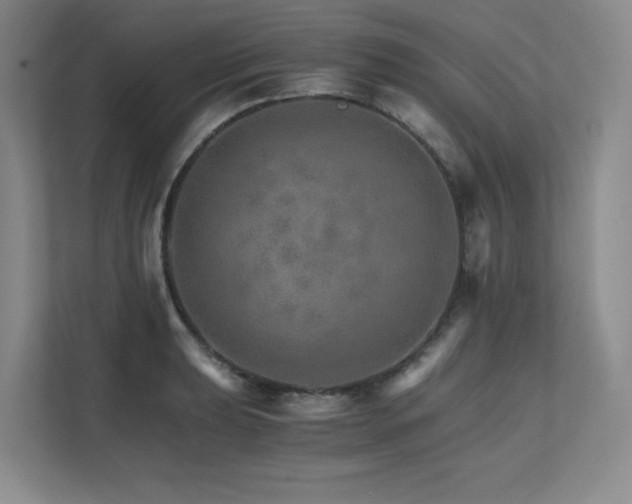 X0000111681039200907171630