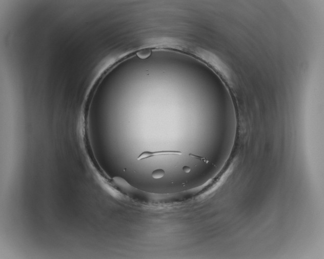 X0000111681040200907171630