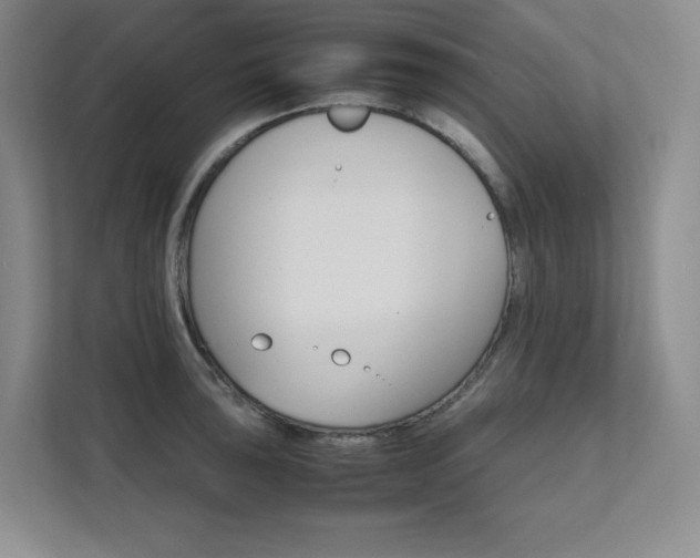 X0000111681043200907171630