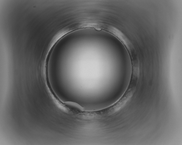 X0000111681050200907171630