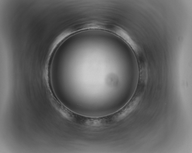 X0000111681051200907171630