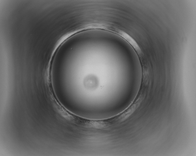 X0000111681052200907171630