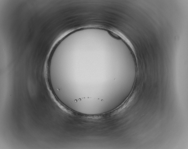 X0000111681053200907171630