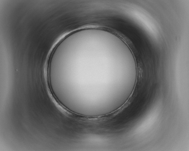 X0000111681054200907171630