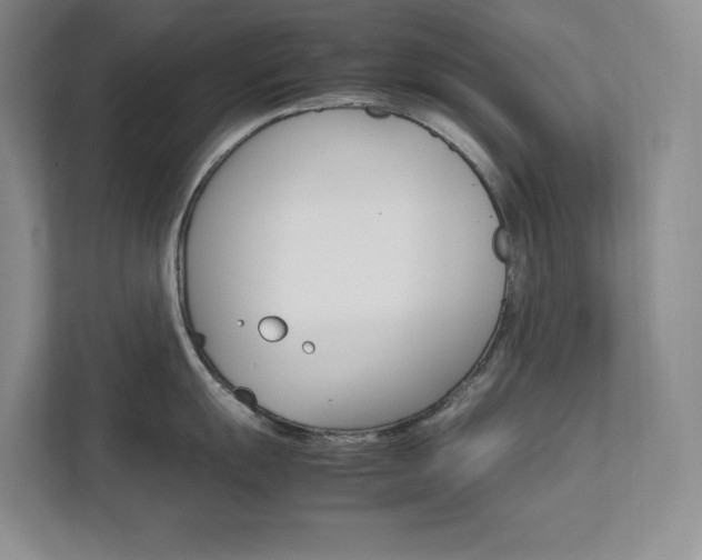 X0000111681055200907171630