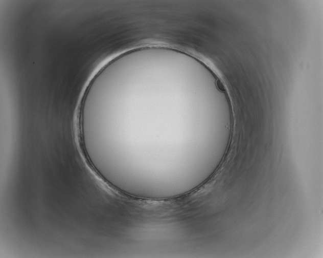 X0000111681056200907171630