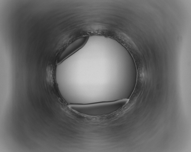 X0000111681060200907171629