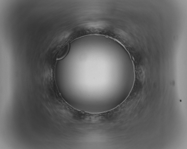 X0000111681061200907171629