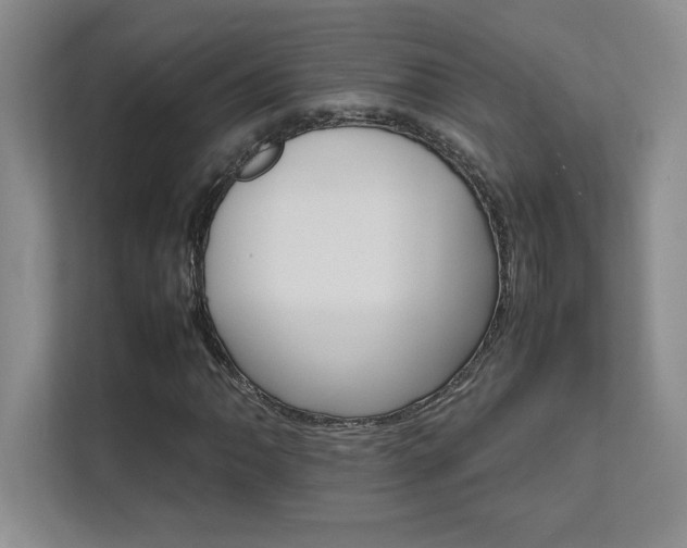 X0000111681062200907171629