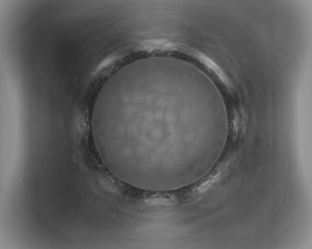 X0000111681063200907171629