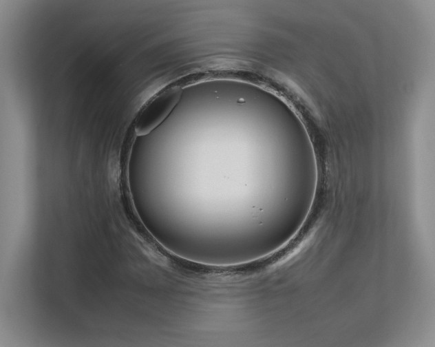 X0000111681065200907171629