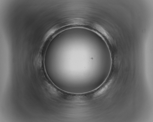 X0000111681067200907171629